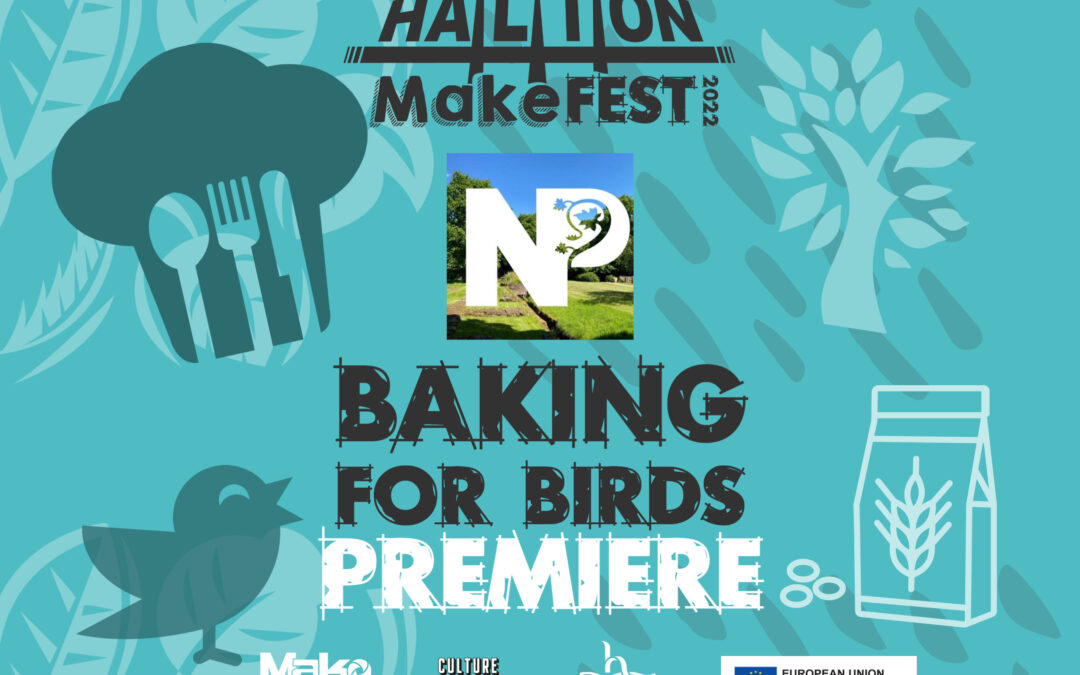 Halton MakeFest 2022 Norton Priory – Video Premiere